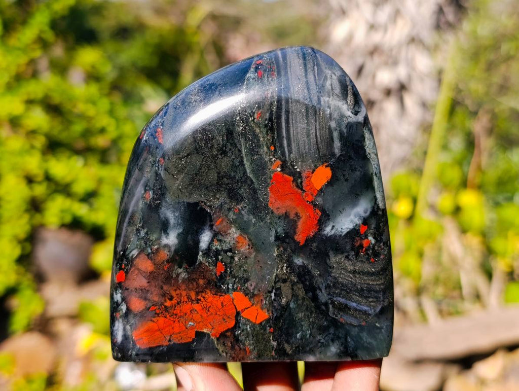 Polished Bloodstone Standing Free Forms x 3 From Swaziland - Toprock Gemstones and Minerals 