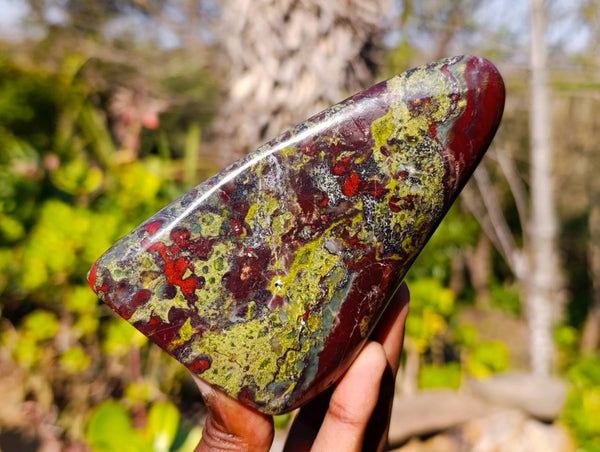 Polished Bastite Dragon Bloodstone Standing Free Forms x 4 From South Africa