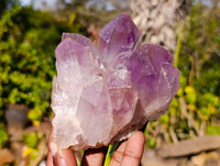 Natural Jacaranda Amethyst Clusters x 2 From Zambia