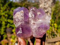 Natural Jacaranda Amethyst Clusters x 2 From Zambia