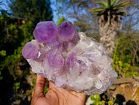 Natural Jacaranda Amethyst Clusters x 2 From Zambia