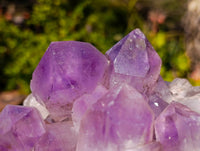 Natural Jacaranda Amethyst Clusters x 2 From Zambia