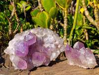 Natural Jacaranda Amethyst Clusters x 2 From Zambia