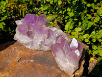 Natural Jacaranda Amethyst Clusters x 2 From Zambia