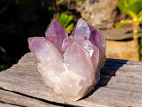 Natural Jacaranda Amethyst Clusters x 2 From Zambia