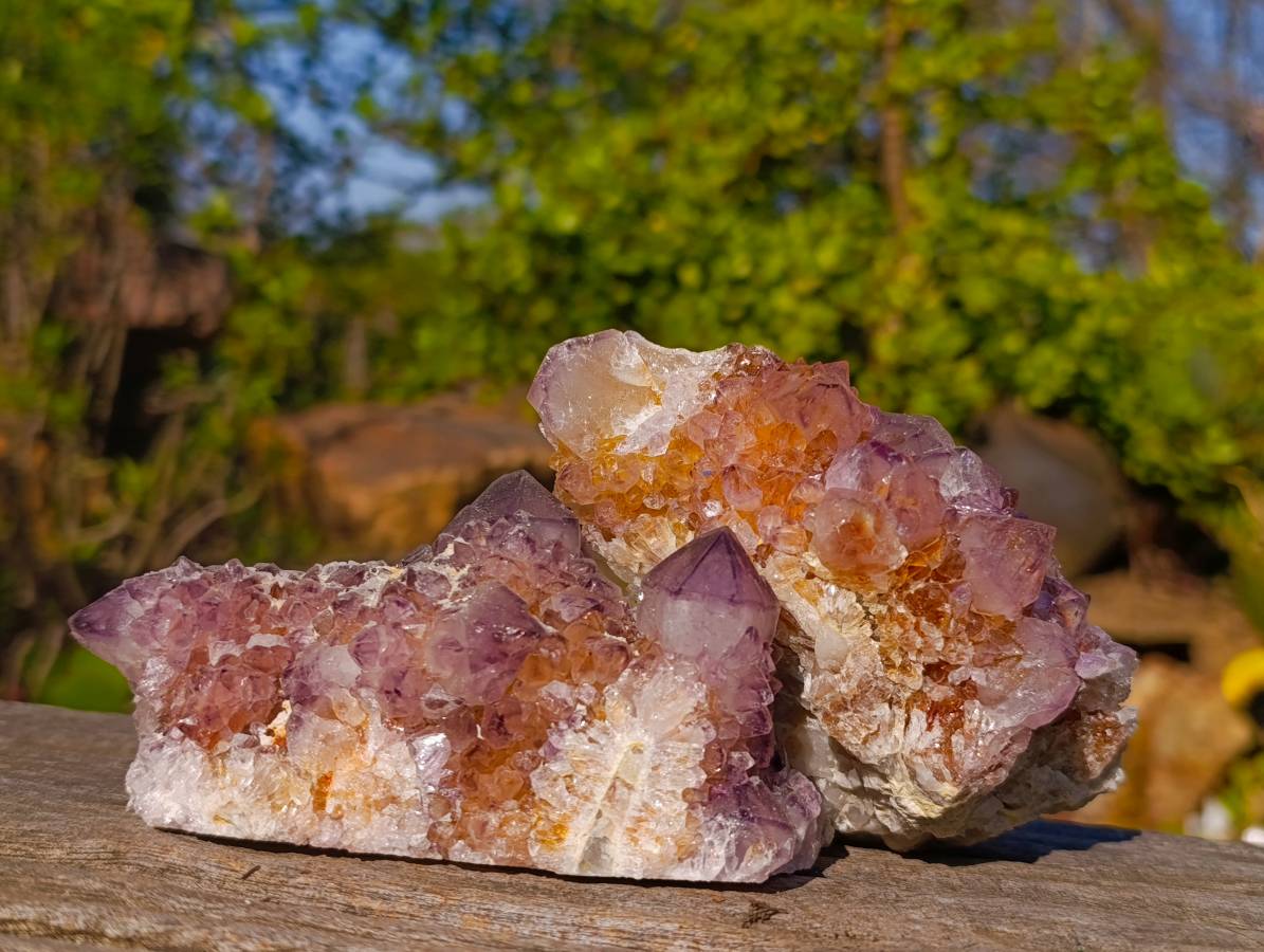 Natural Amethyst Spirit Quartz Clusters x 6 From South Africa - Toprock Gemstones and Minerals 