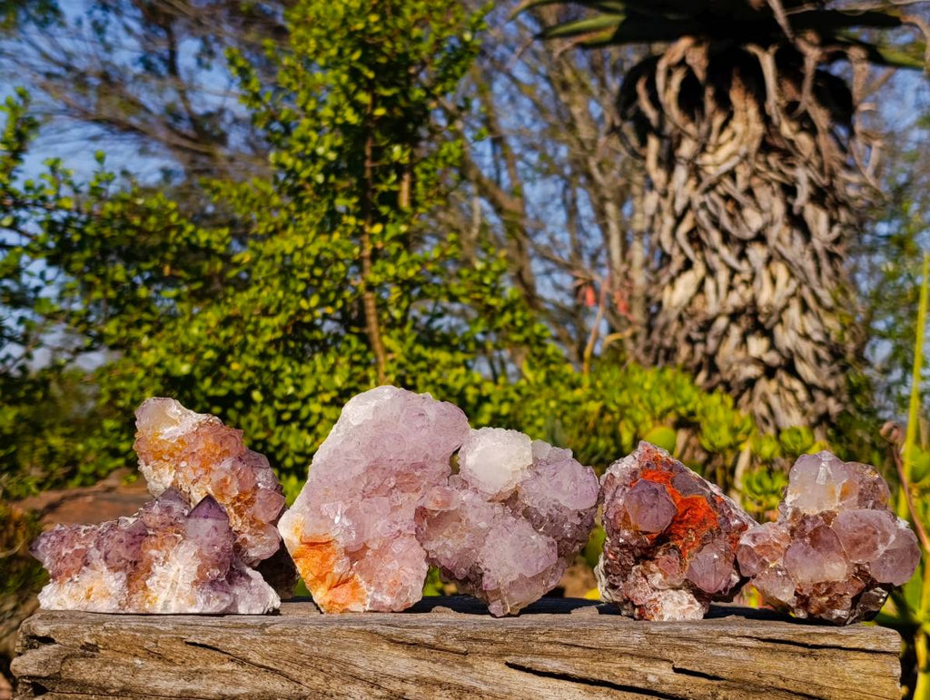 Natural Amethyst Spirit Quartz Clusters x 6 From South Africa - Toprock Gemstones and Minerals 