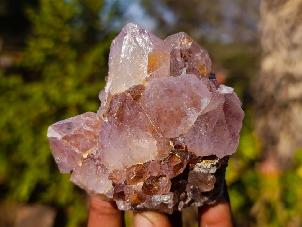 Natural Amethyst Spirit Quartz Clusters x 6 From South Africa - Toprock Gemstones and Minerals 