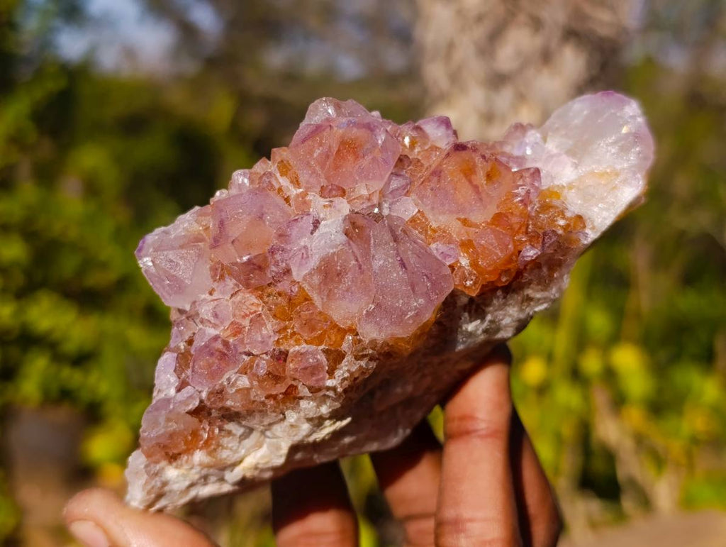Natural Amethyst Spirit Quartz Clusters x 6 From South Africa - Toprock Gemstones and Minerals 