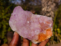 Natural Amethyst Spirit Quartz Clusters x 6 From South Africa