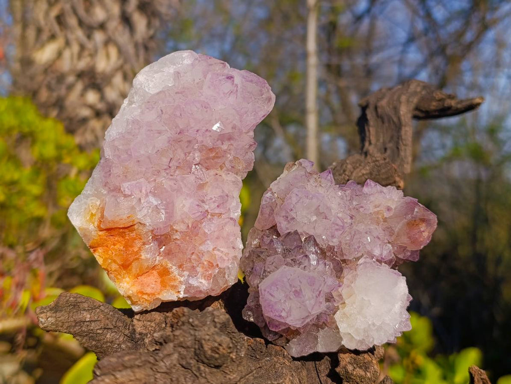 Natural Amethyst Spirit Quartz Clusters x 6 From South Africa - Toprock Gemstones and Minerals 