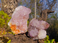Natural Amethyst Spirit Quartz Clusters x 6 From South Africa