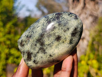 Polished Leopard Stone Standing Free Forms x 6 From Zimbabwe