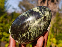 Polished Leopard Stone Standing Free Forms x 6 From Zimbabwe