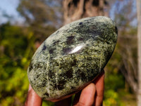 Polished Leopard Stone Standing Free Forms x 6 From Zimbabwe