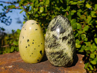 Polished Leopard Stone Standing Free Forms x 6 From Zimbabwe