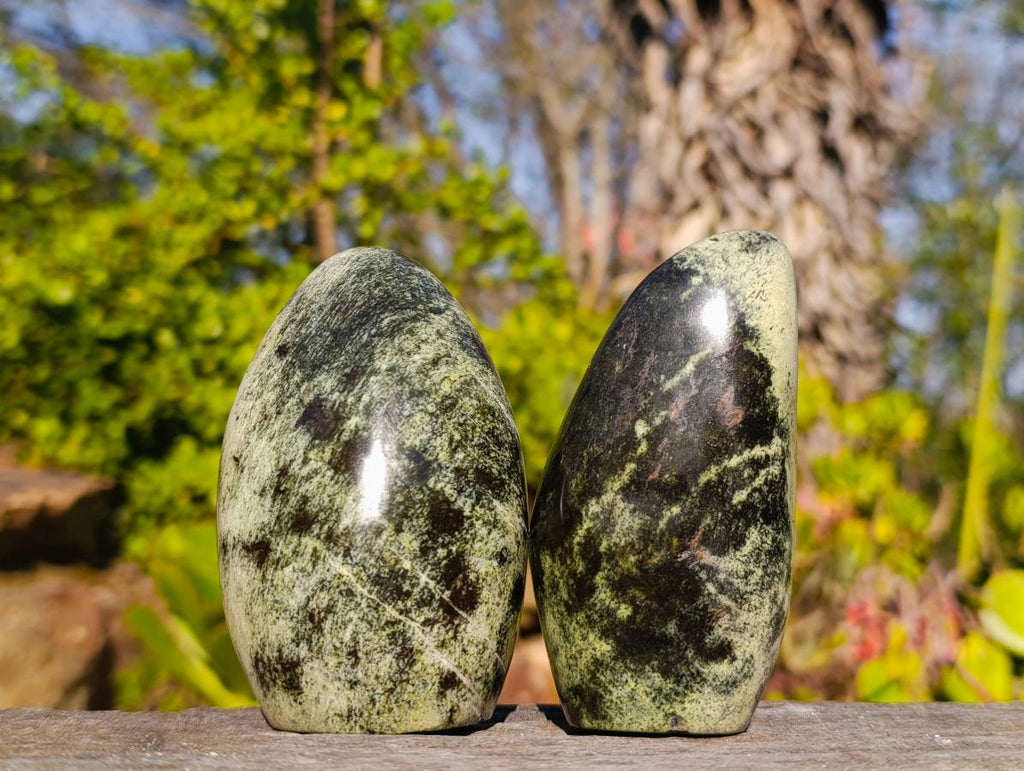 Polished Leopard Stone Standing Free Forms x 6 From Zimbabwe - Toprock Gemstones and Minerals 