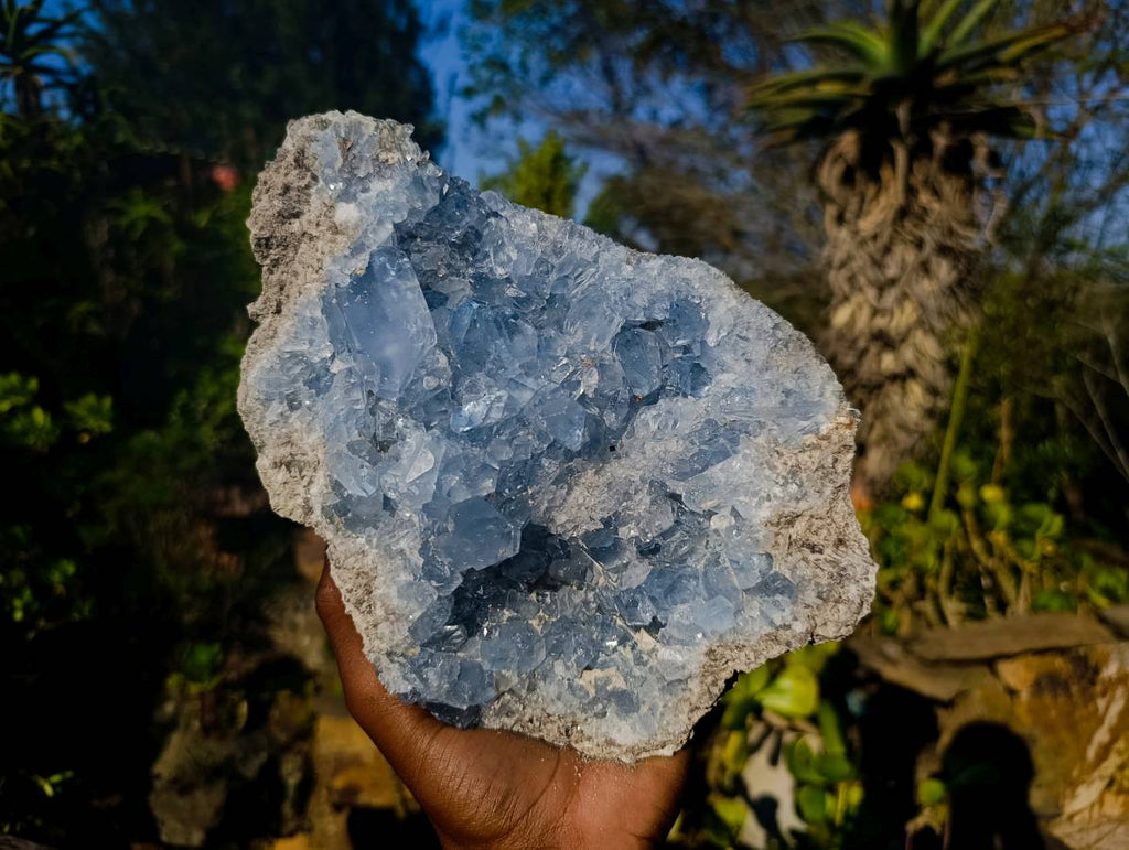 Natural Celestite Specimen x 1 From Sakoany, Madagascar - Toprock Gemstones and Minerals 