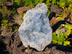 Natural Celestite Specimen x 1 From Sakoany, Madagascar - Toprock Gemstones and Minerals 