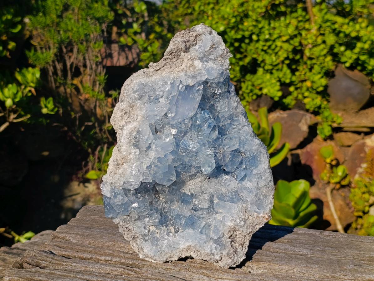 Natural Celestite Specimen x 1 From Sakoany, Madagascar - Toprock Gemstones and Minerals 