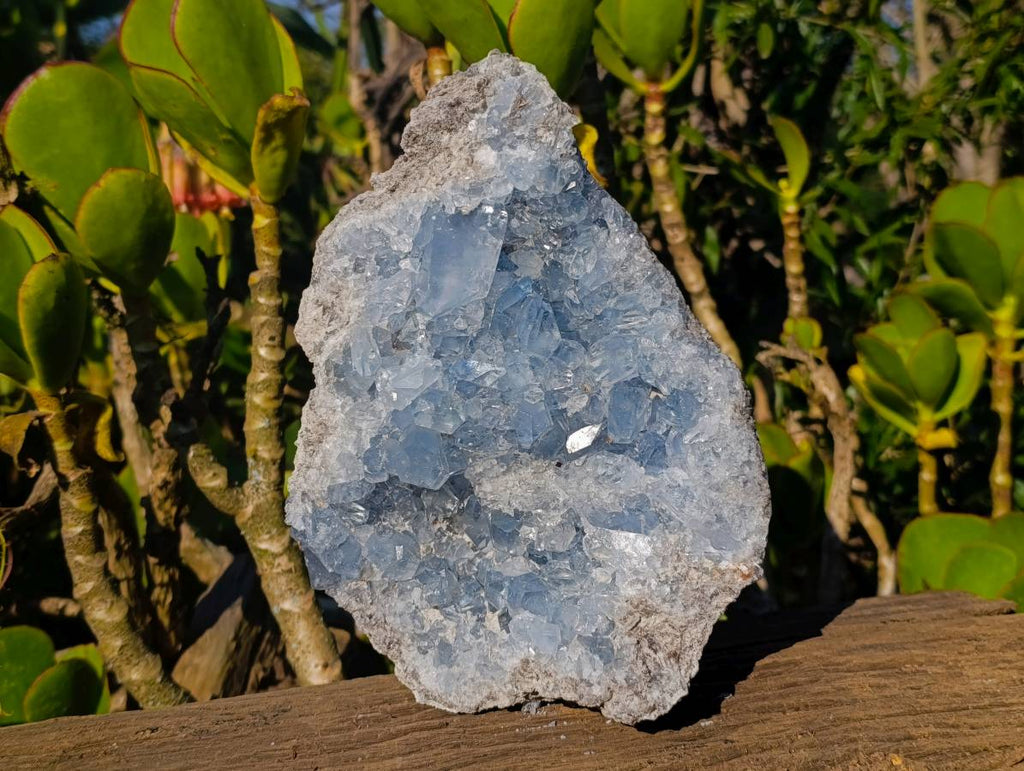 Natural Celestite Specimen x 1 From Sakoany, Madagascar - Toprock Gemstones and Minerals 