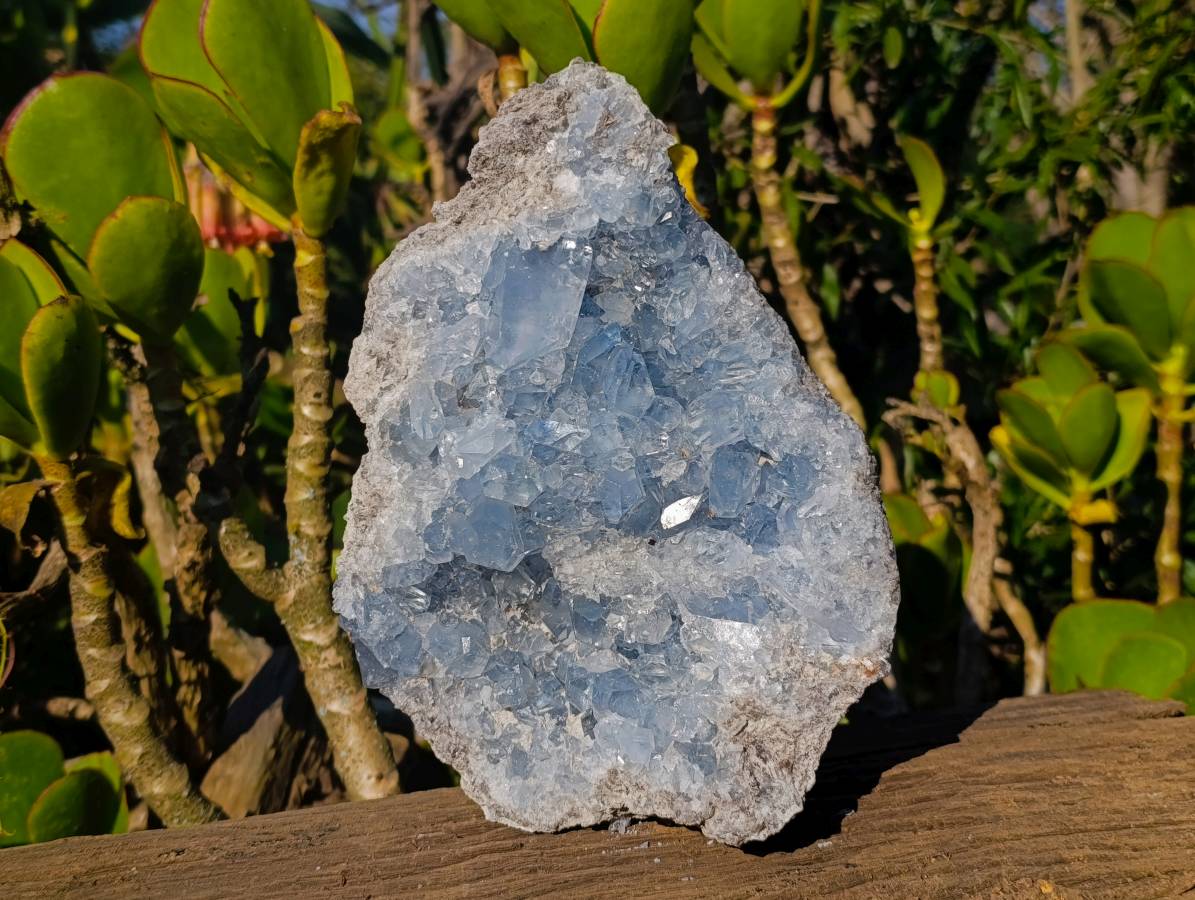 Natural Celestite Specimen x 1 From Sakoany, Madagascar - Toprock Gemstones and Minerals 
