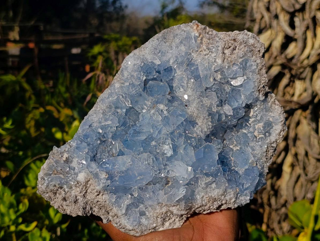 Natural Celestite Specimen x 1 From Sakoany, Madagascar - Toprock Gemstones and Minerals 