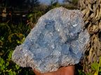 Natural Celestite Specimen x 1 From Sakoany, Madagascar - Toprock Gemstones and Minerals 