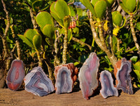 Polished On One Side Red Sashe River Agate Nodules x 6 From Zimbabwe