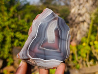 Polished On One Side Red Sashe River Agate Nodules x 6 From Zimbabwe
