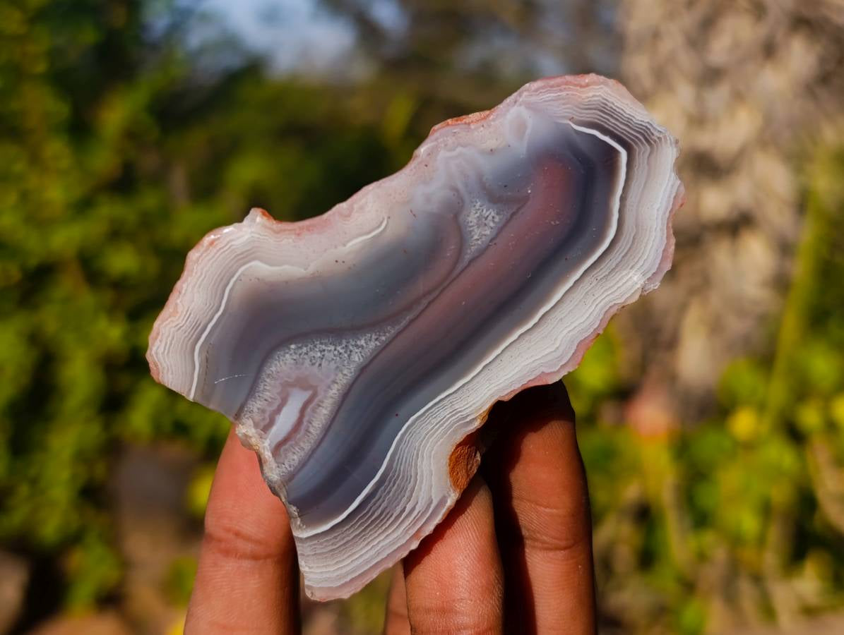 Polished On One Side Red Sashe River Agate Nodules x 6 From Zimbabwe - Toprock Gemstones and Minerals 