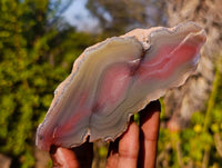 Polished On One Side Red Sashe River Agate Nodules x 6 From Zimbabwe