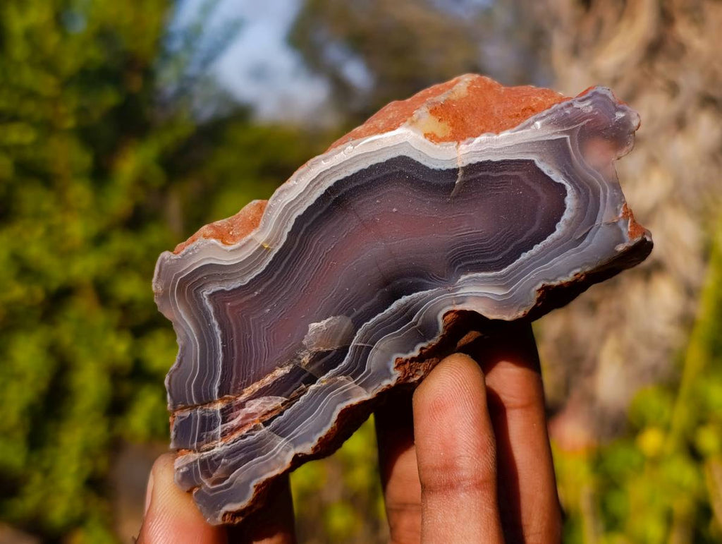 Polished On One Side Red Sashe River Agate Nodules x 6 From Zimbabwe - Toprock Gemstones and Minerals 