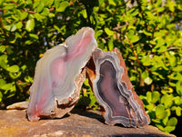 Polished On One Side Red Sashe River Agate Nodules x 6 From Zimbabwe