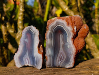 Polished On One Side Red Sashe River Agate Nodules x 6 From Zimbabwe