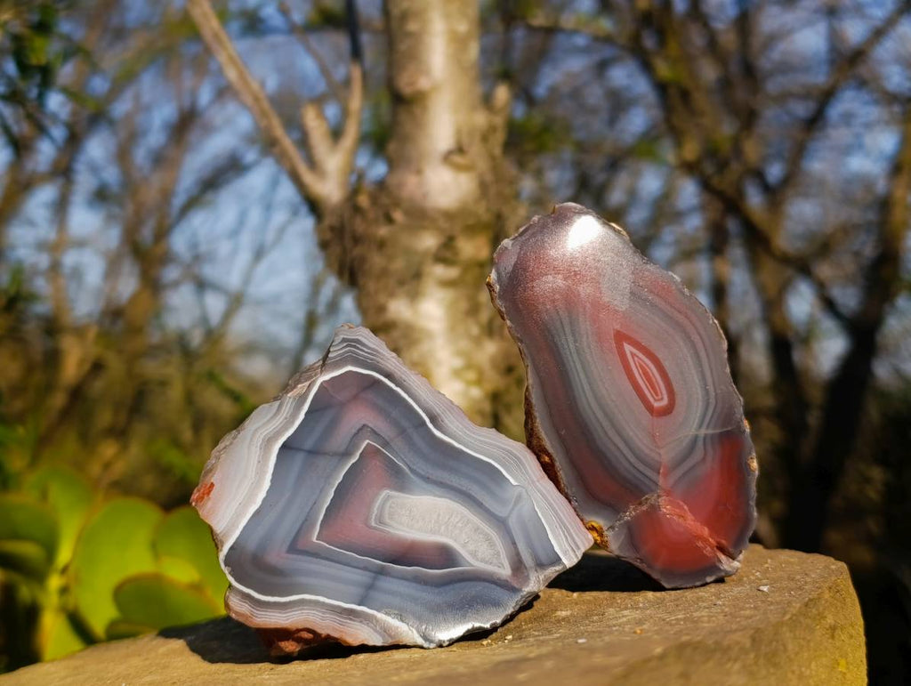 Polished On One Side Red Sashe River Agate Nodules x 6 From Zimbabwe - Toprock Gemstones and Minerals 