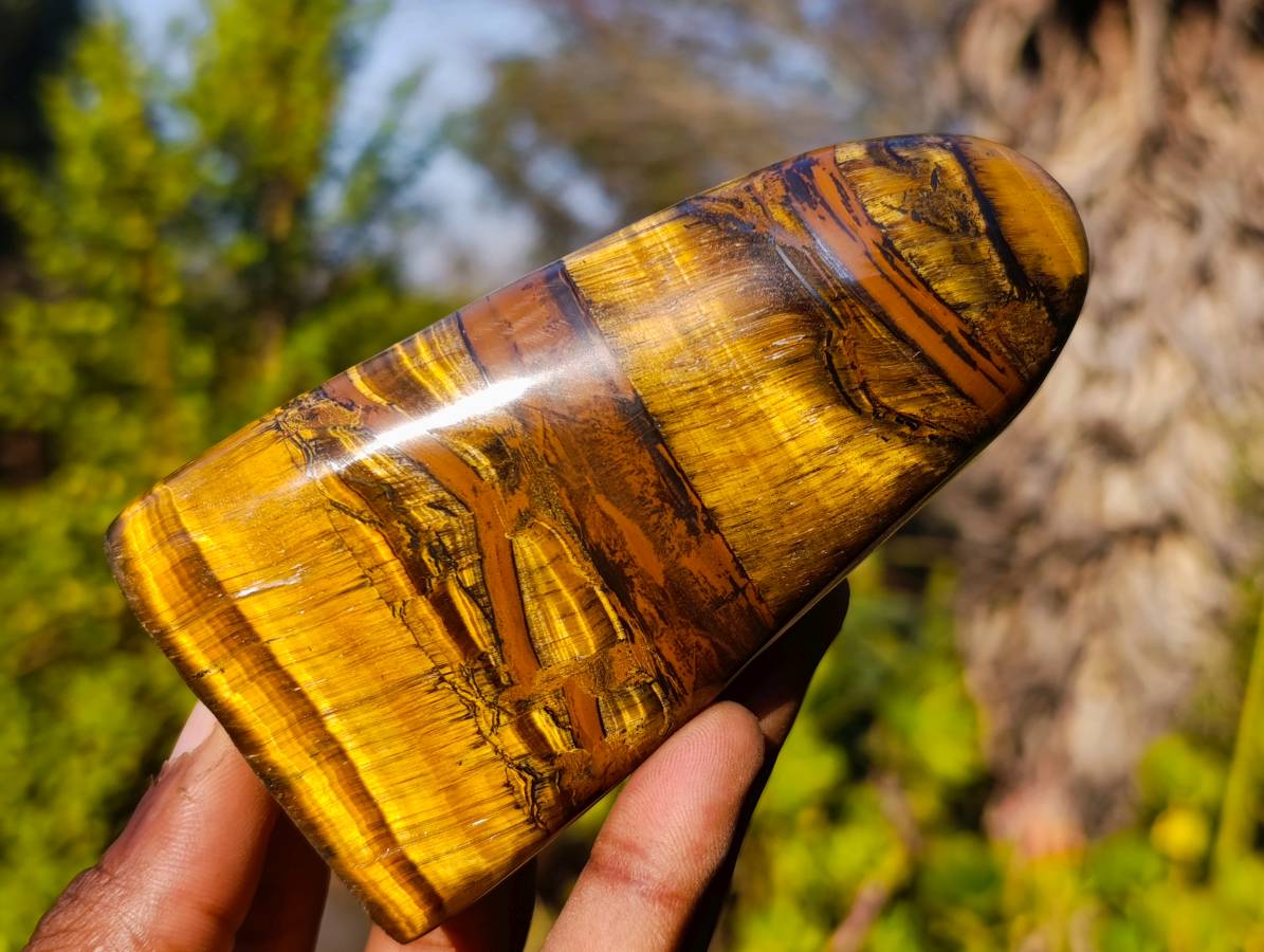 Polished Tigers Eye Standing Free Forms x 3 From South Africa - Toprock Gemstones and Minerals 