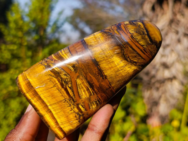 Polished Tigers Eye Standing Free Forms x 3 From South Africa