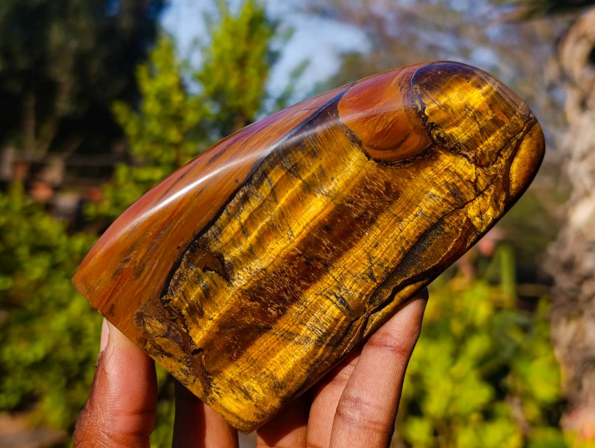 Polished Tigers Eye Standing Free Forms x 3 From South Africa - Toprock Gemstones and Minerals 