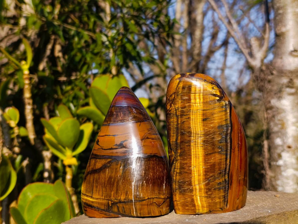 Polished Tigers Eye Standing Free Forms x 3 From South Africa - Toprock Gemstones and Minerals 