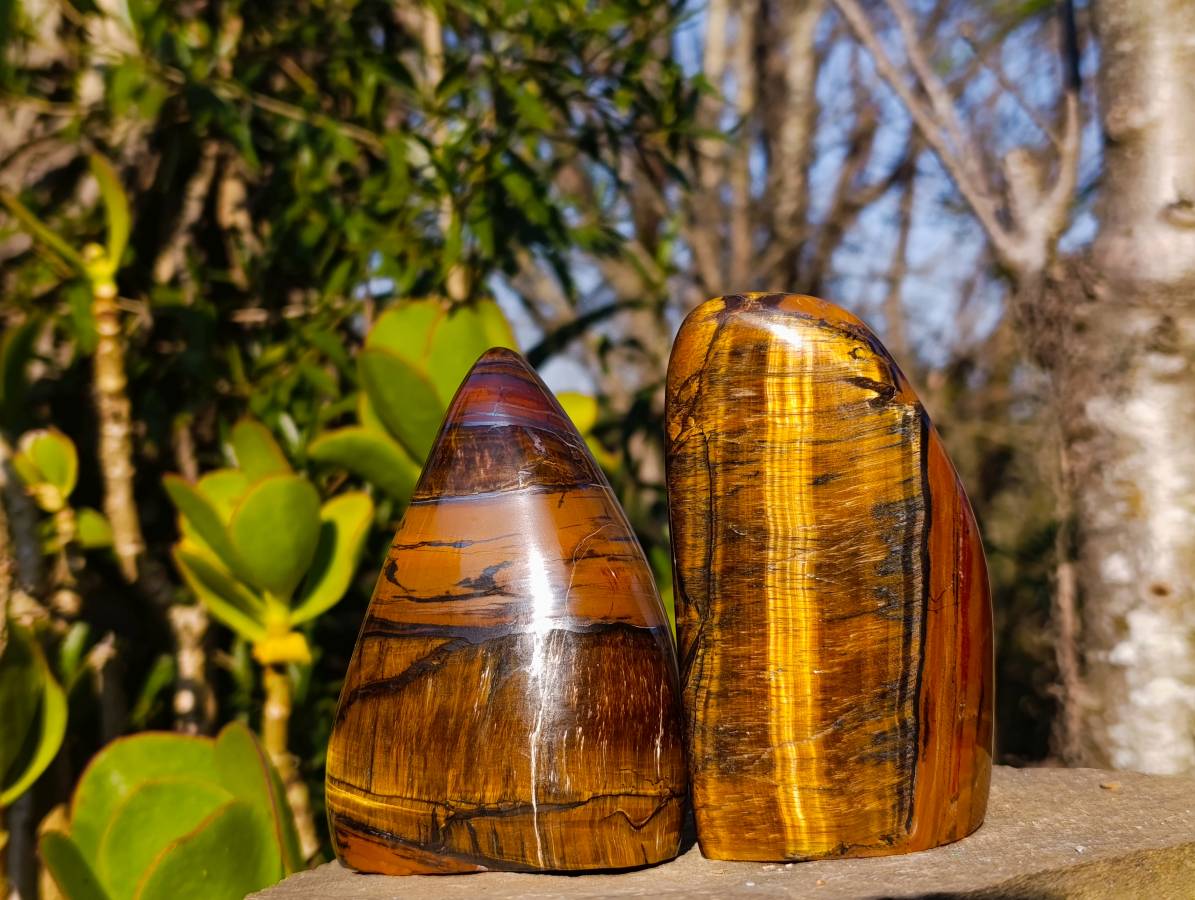 Polished Tigers Eye Standing Free Forms x 3 From South Africa - Toprock Gemstones and Minerals 
