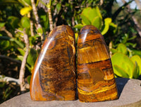 Polished Tigers Eye Standing Free Forms x 3 From South Africa