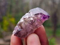 Natural Smokey Window Amethyst Crystals x 20 From Chiredzi, Zimbabwe