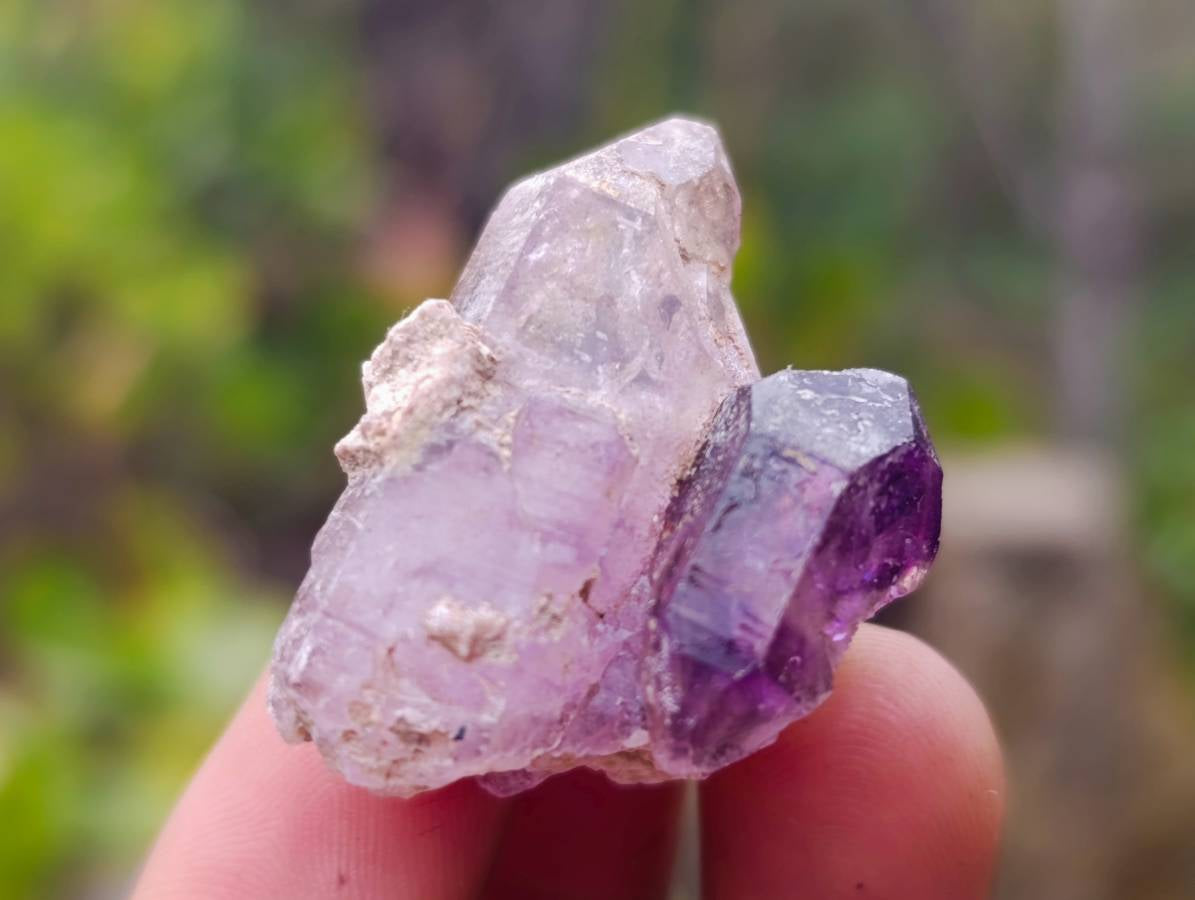 Natural Smokey Window Amethyst Crystals x 20 From Chiredzi, Zimbabwe - Toprock Gemstones and Minerals 