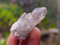 Natural Smokey Window Amethyst Crystals x 20 From Chiredzi, Zimbabwe