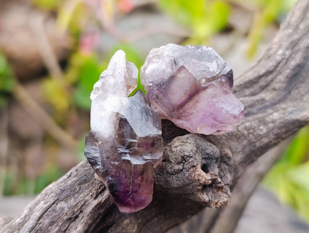 Natural Smokey Window Amethyst Crystals x 20 From Chiredzi, Zimbabwe - Toprock Gemstones and Minerals 