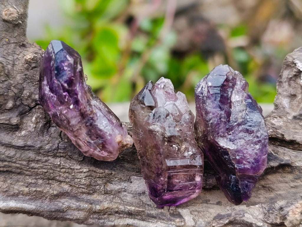 Natural Smokey Window Amethyst Crystals x 20 From Chiredzi, Zimbabwe - Toprock Gemstones and Minerals 