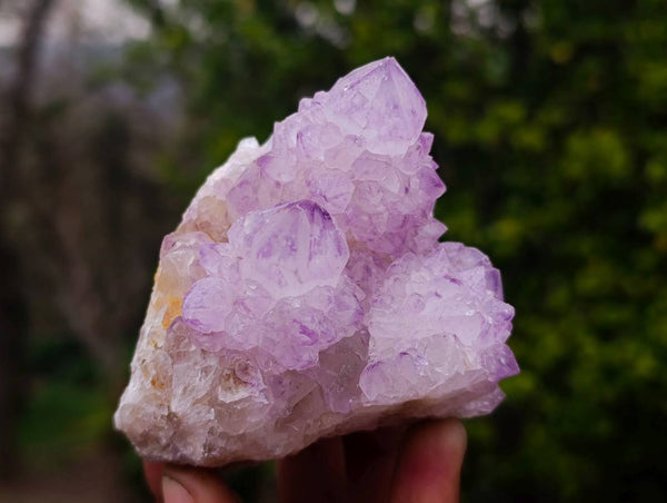 Natural Amethyst Spirit Quartz Clusters x 4 From South Africa