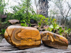 Polished Picture Stone Jasper Standing Free Forms x 2 From Ais-Ais, Namibia - Toprock Gemstones and Minerals 