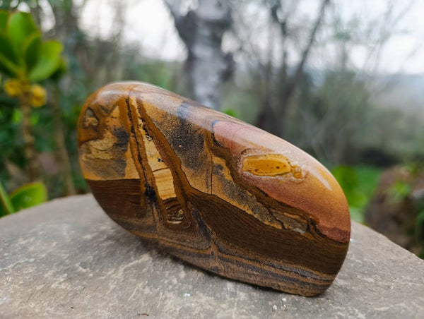 Polished Picture Stone Jasper Standing Free Forms x 2 From Ais-Ais, Namibia
